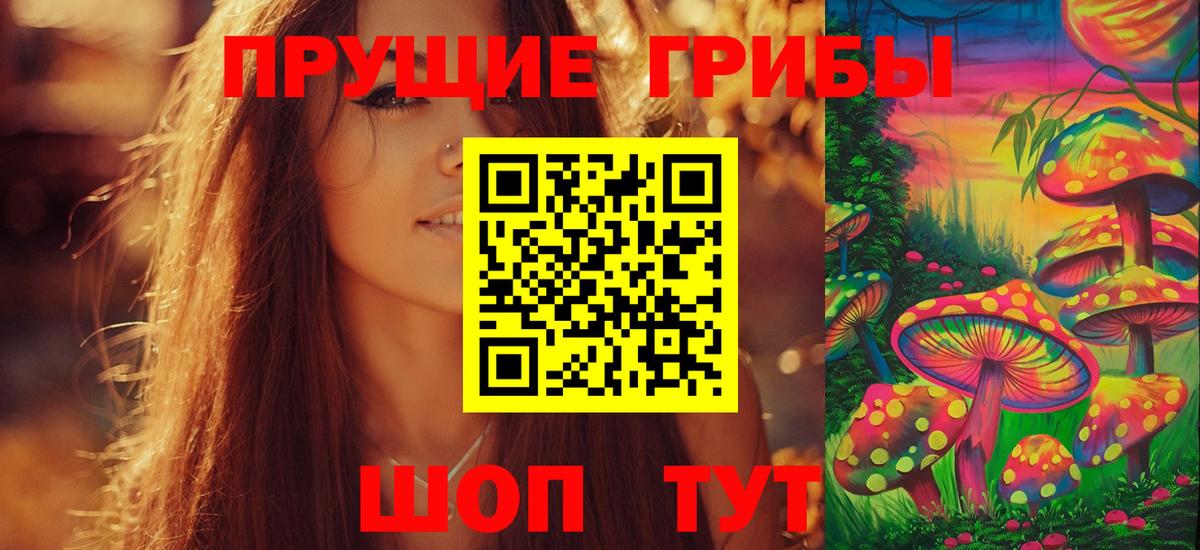 купить наркоту  Вход с VPN  Чебоксары  Псилоцибиновые грибы MAGIC MUSHROOMS 
