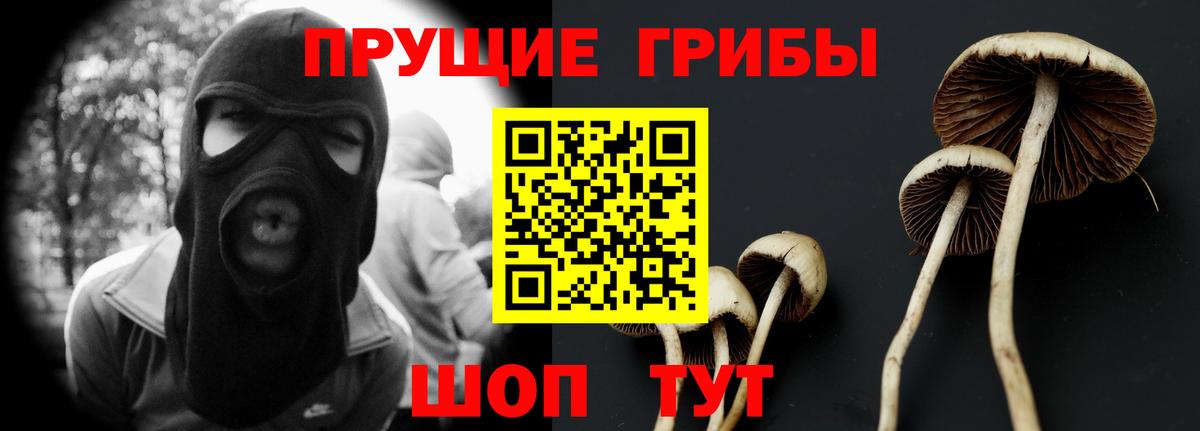 Псилоцибиновые грибы Magic Shrooms Чебоксары